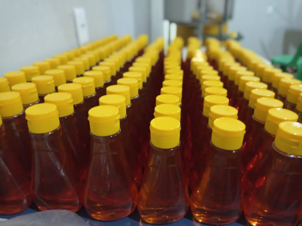 6c6dc876-4b5d-4b6e-bd1e-a2d31ffaf499 Foto: ilustração