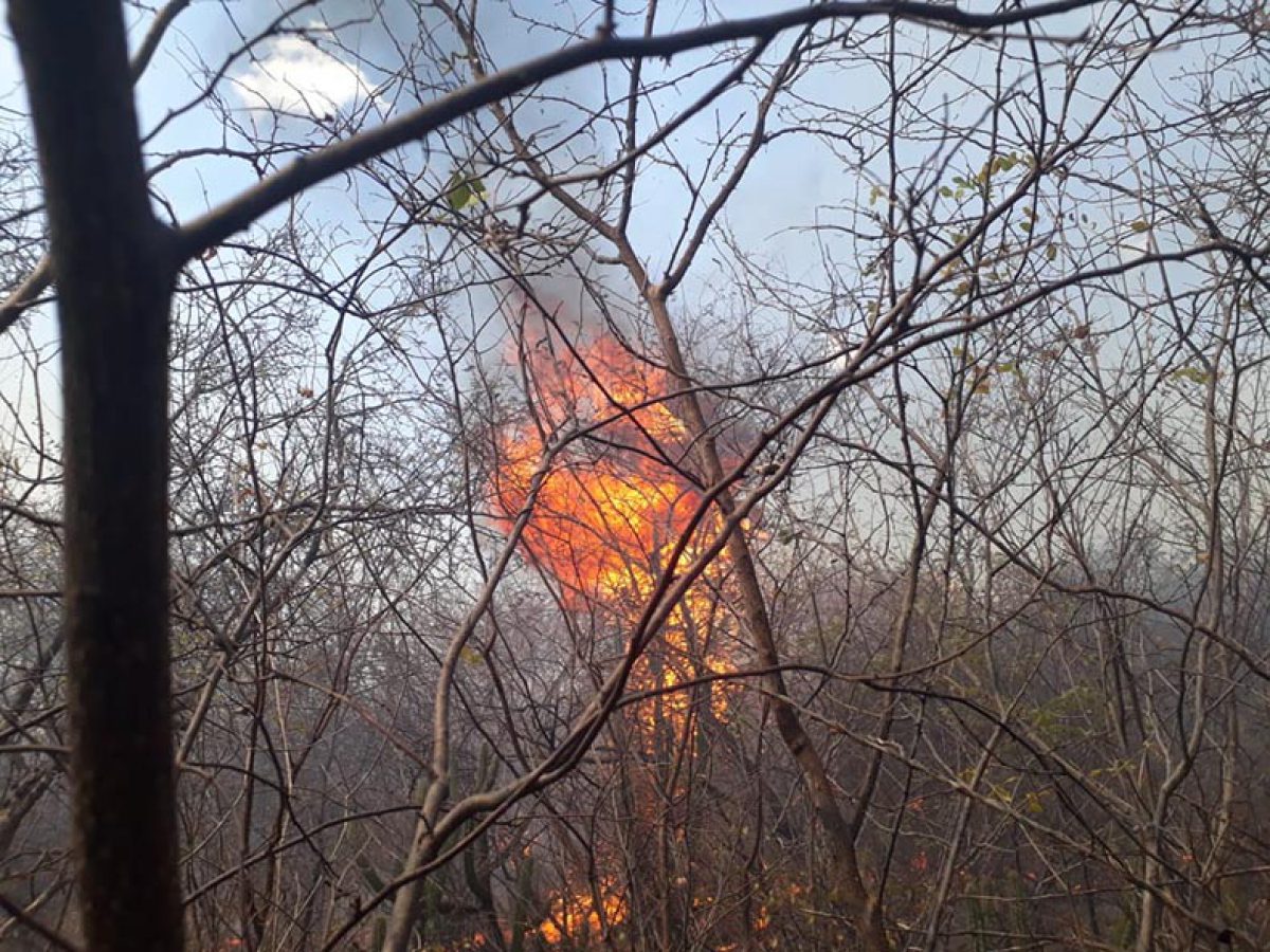 977490636e3c1741eed56c96aab90867 Foto: Reprodução