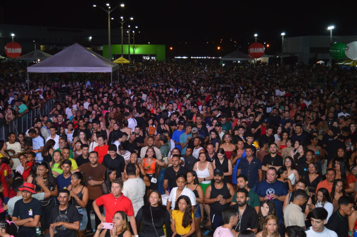 DSC_0378-scaled DSC_0378-scaled