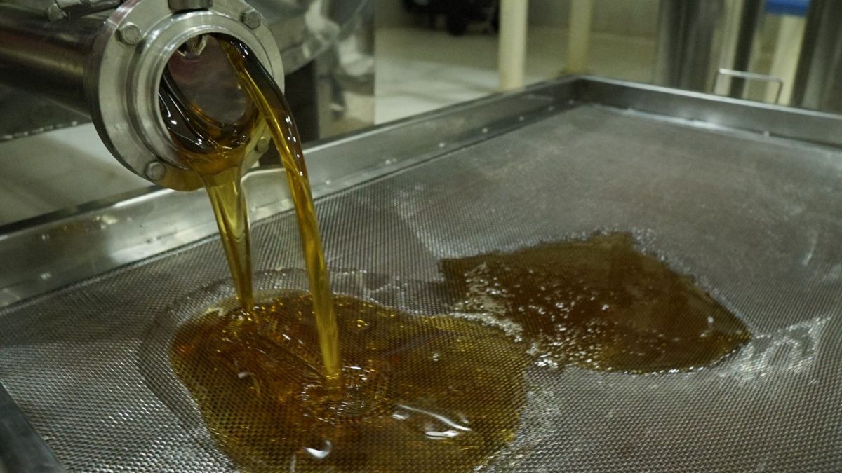 Mel_novo_3 Foto: Reprodução