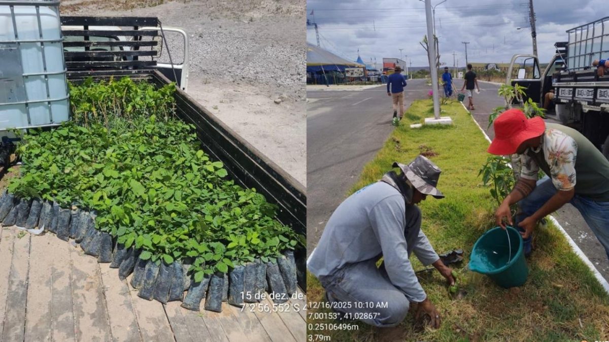 WhatsApp Image 2025-12-17 at 15.45.28 WhatsApp Image 2025-12-17 at 15.45.28