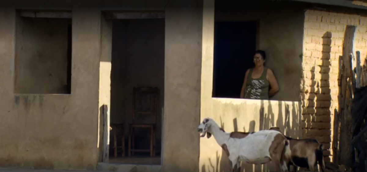agricultora-sem-energia-em-Paulistana