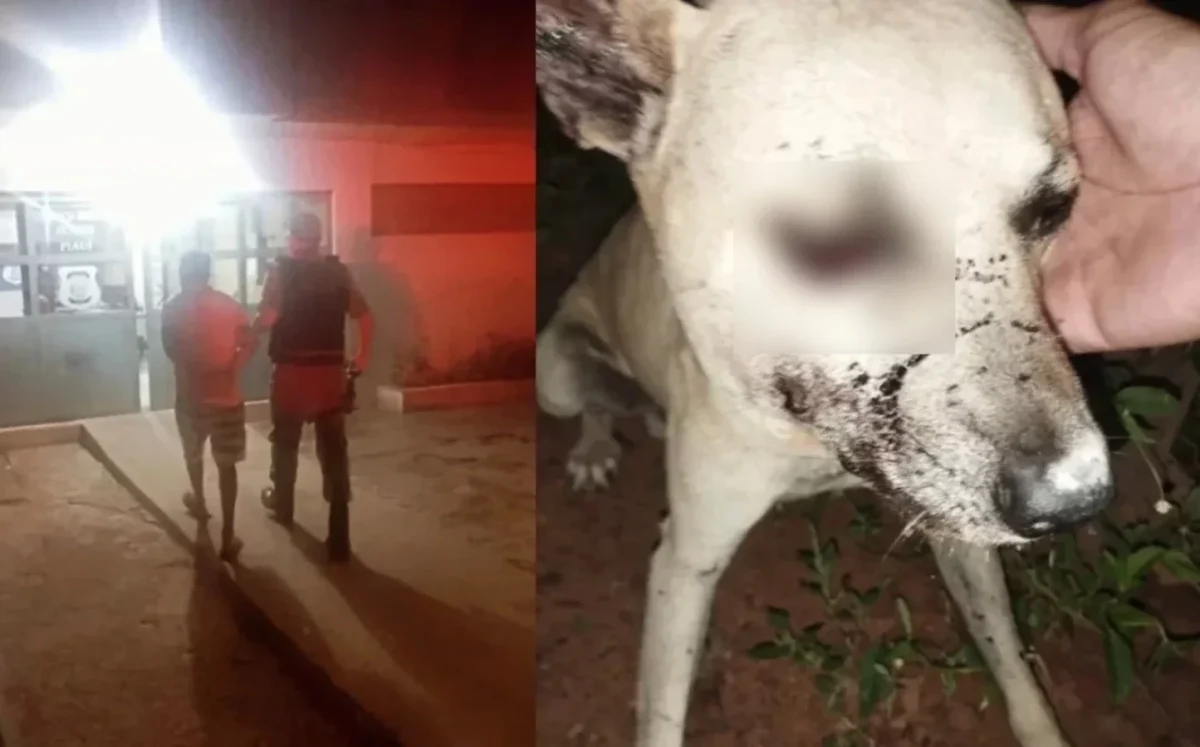 homem-e-preso-acusado-de-agredir-cachorro-a-pauladas-no-piaui-fa60c425-4222-4ae3-8fb4-651dad52b1da.jpg