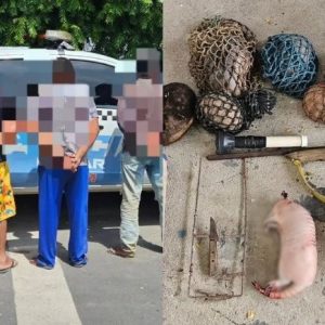 homens-conduzidos-e-animais-apreendidos–98e3faaa20e4710d homens-conduzidos-e-animais-apreendidos--98e3faaa20e4710d