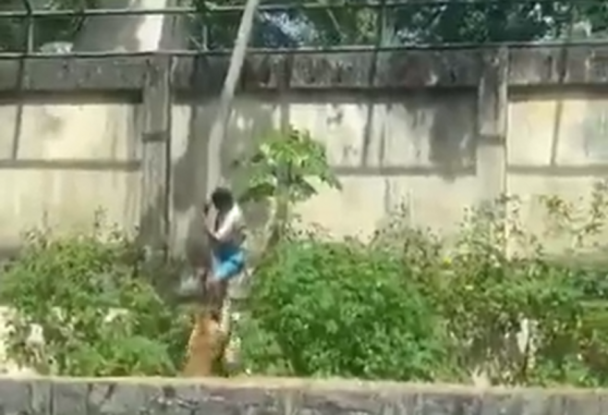 loa-pb-659×450 loa-pb-659x450