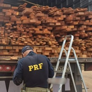 o-veiculo-e-toda-a-carga-foram-apreendidos-e-encaminhados-ao-patio-da-prf–a2b342d954726528 o-veiculo-e-toda-a-carga-foram-apreendidos-e-encaminhados-ao-patio-da-prf--a2b342d954726528