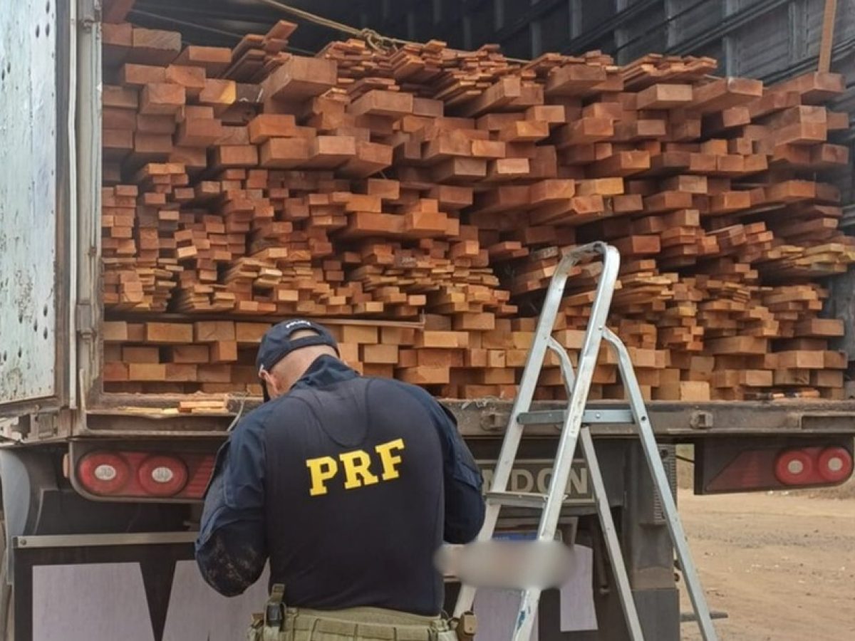 o-veiculo-e-toda-a-carga-foram-apreendidos-e-encaminhados-ao-patio-da-prf–a2b342d954726528 o-veiculo-e-toda-a-carga-foram-apreendidos-e-encaminhados-ao-patio-da-prf--a2b342d954726528