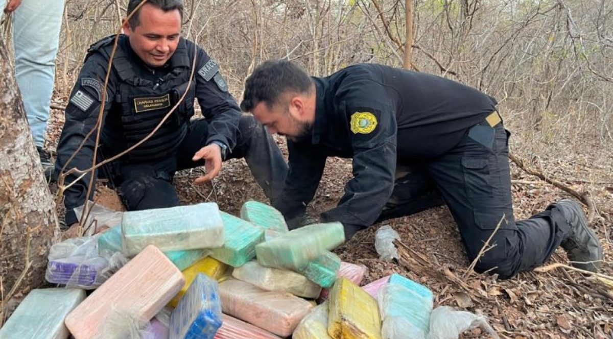 policia-desarticula-dois-centros-de-distribuicao-de-drogas-usados-por-faccao-no-piaui--26d8838f3795189e