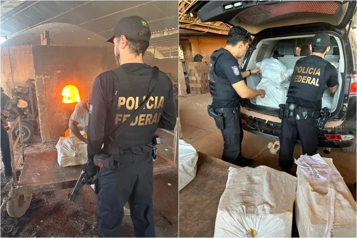 policia-federal-incinera-mais-de-uma-tonelada-de-drogas-no-piaui-b9aff709-3493-4e77-89ce-64f42e49ad16.jpg