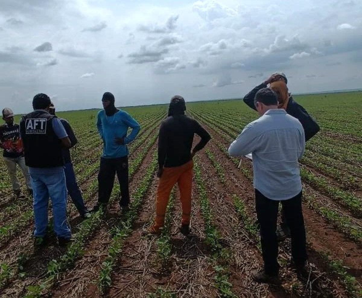 puohh (Foto: MPT/PI)