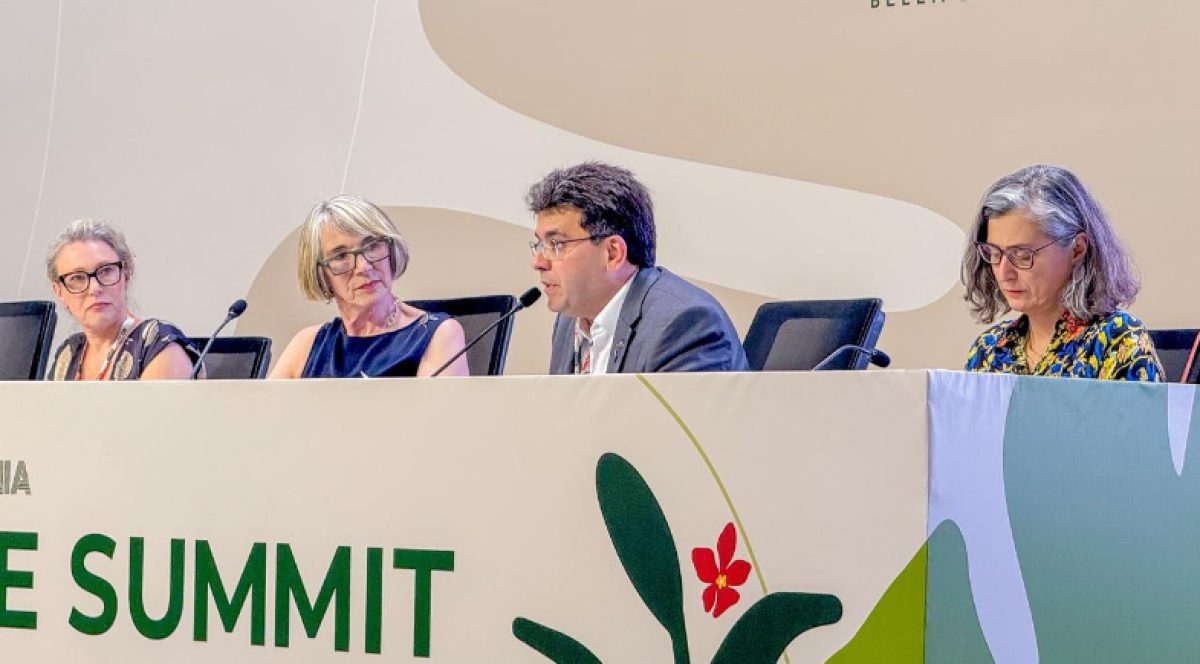 rafael-fonteles--80368f47d01fa155