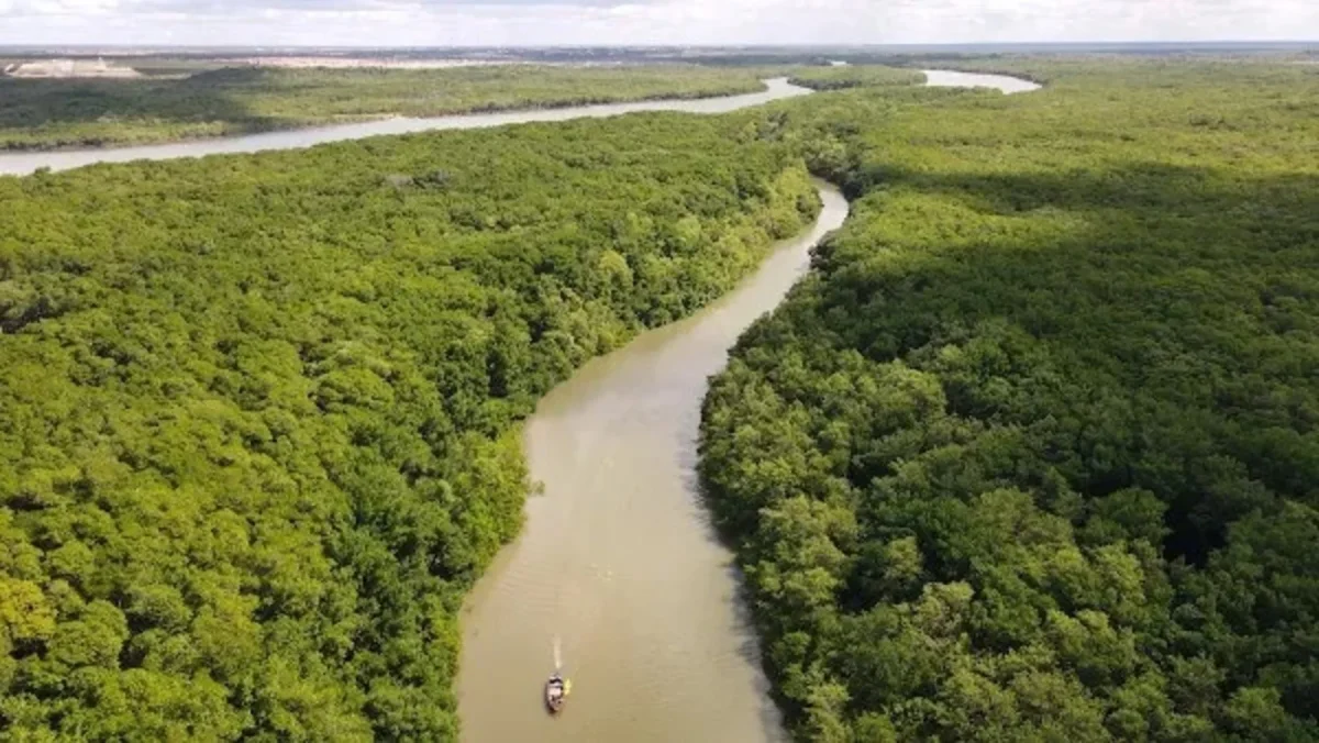 Rio Parnaíba/Piauí | Imagem: Reprodução