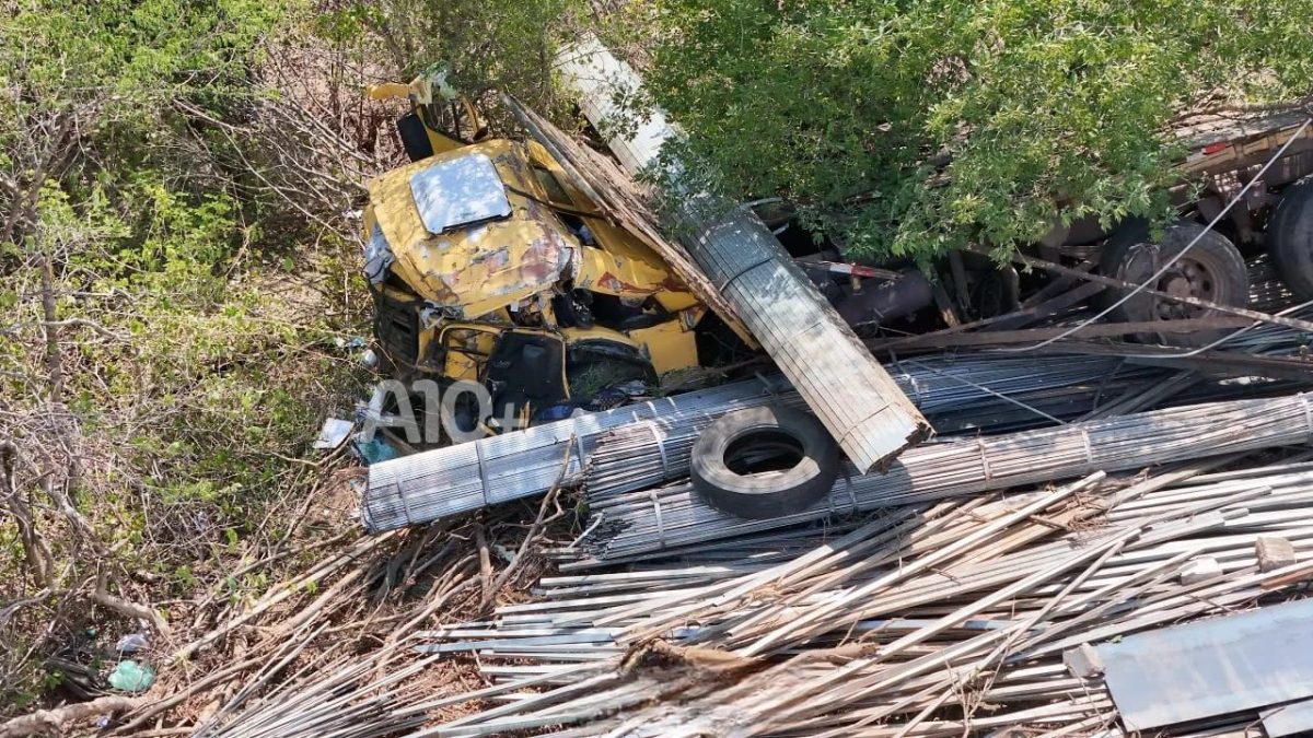 whatsapp-image-2025-12-30-at-12-45-03-1767109840 whatsapp-image-2025-12-30-at-12-45-03-1767109840